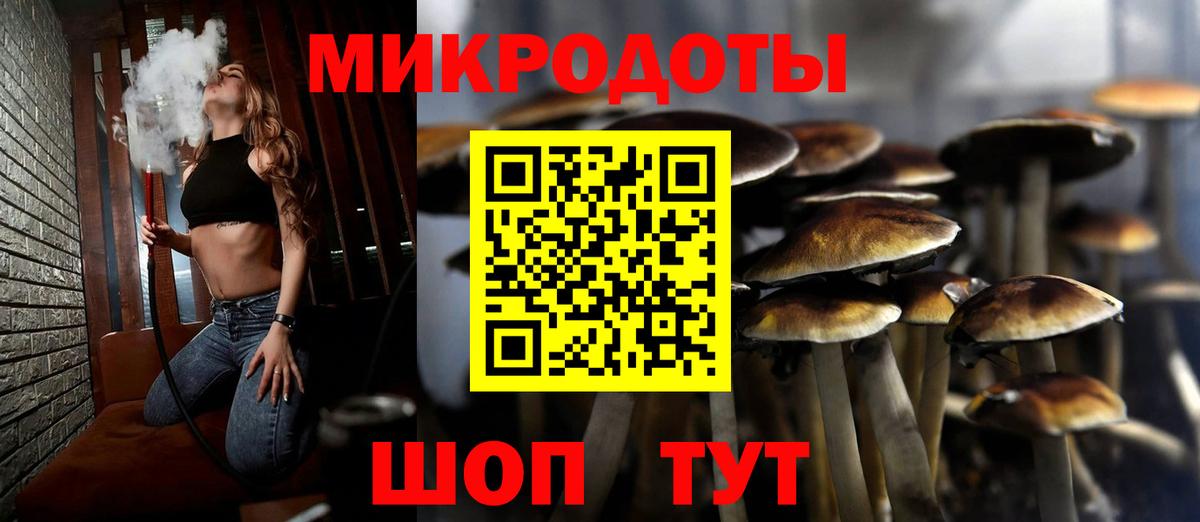 Псилоцибиновые грибы мицелий Горно-Алтайск