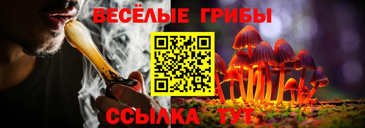 Псилоцибиновые грибы GOLDEN TEACHER  Вход с VPN  Горно-Алтайск 